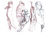 020502